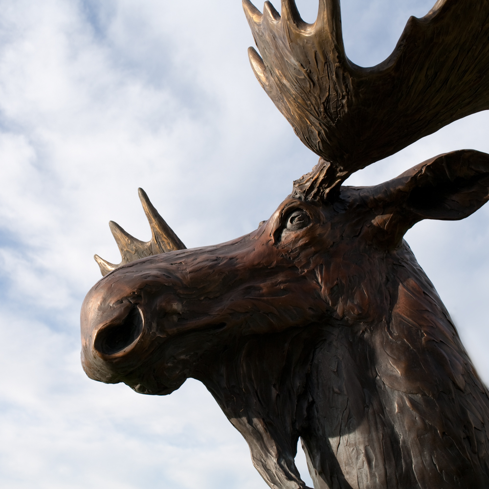 UMA Moose statue