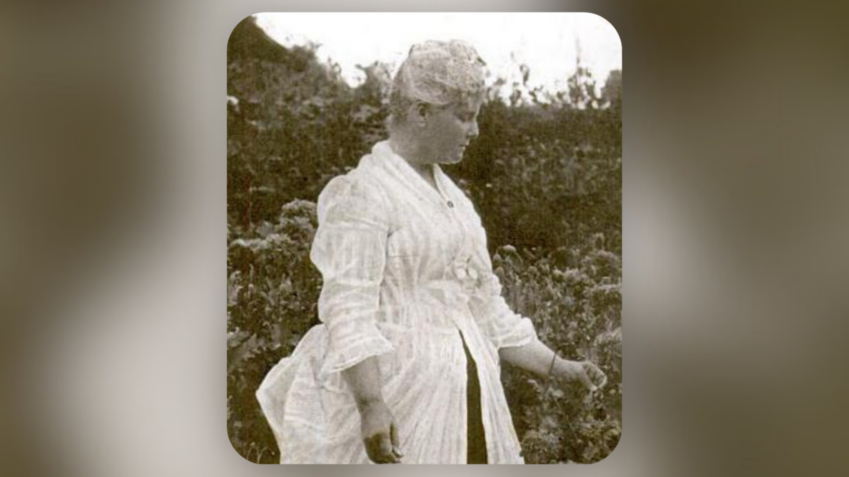maine writer celia thaxter