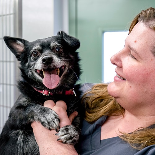 uma vet tech student with pupper