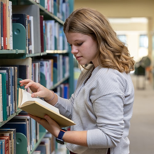 undergraduate studies