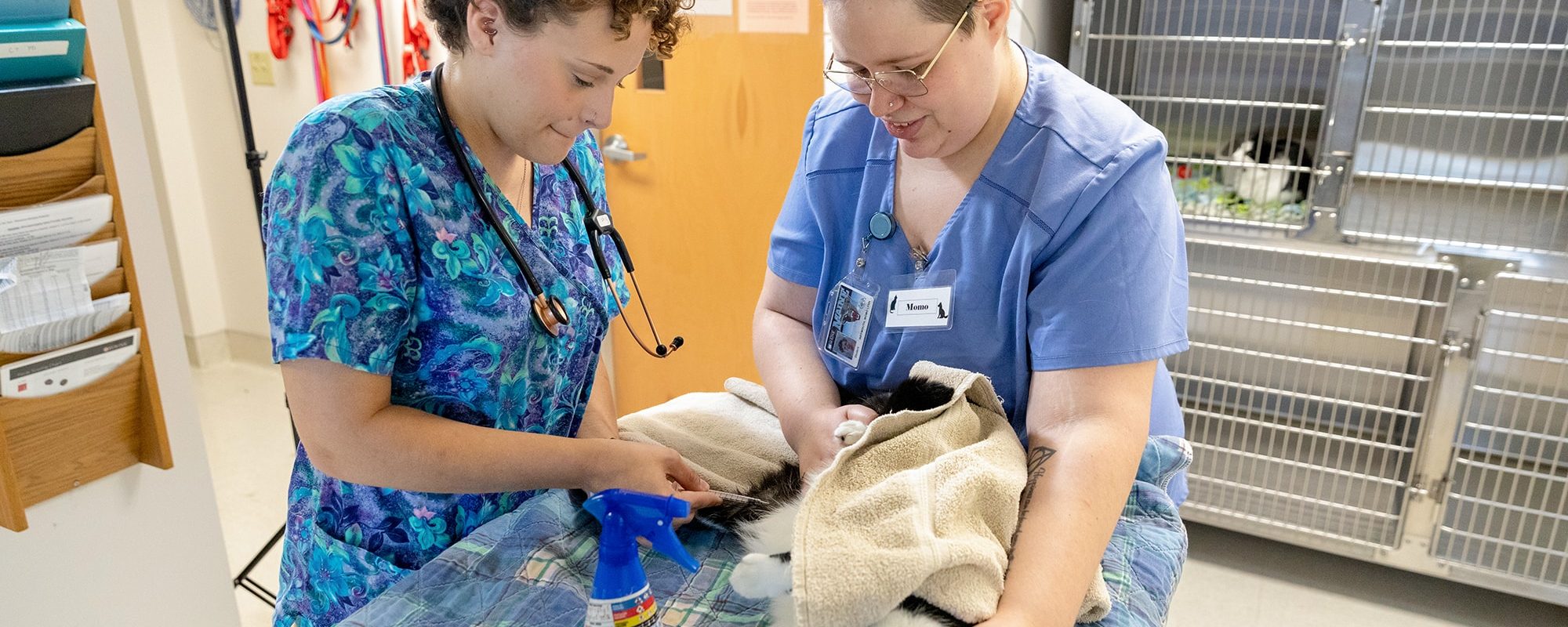 uma vet tech students caring for pet uma vet tech students caring for pet