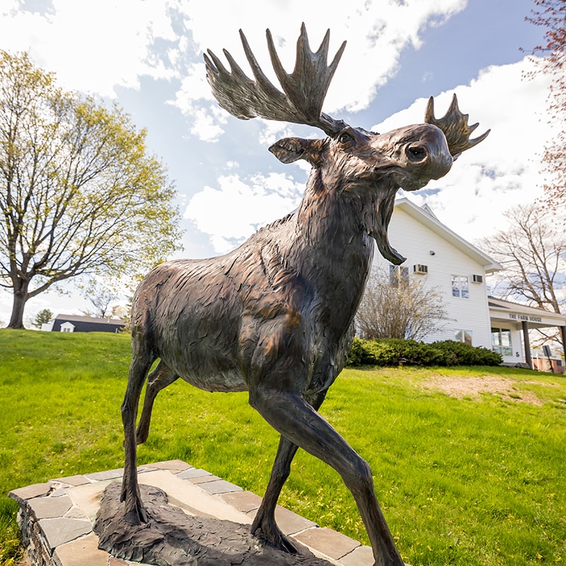 uma moose on augusta campus