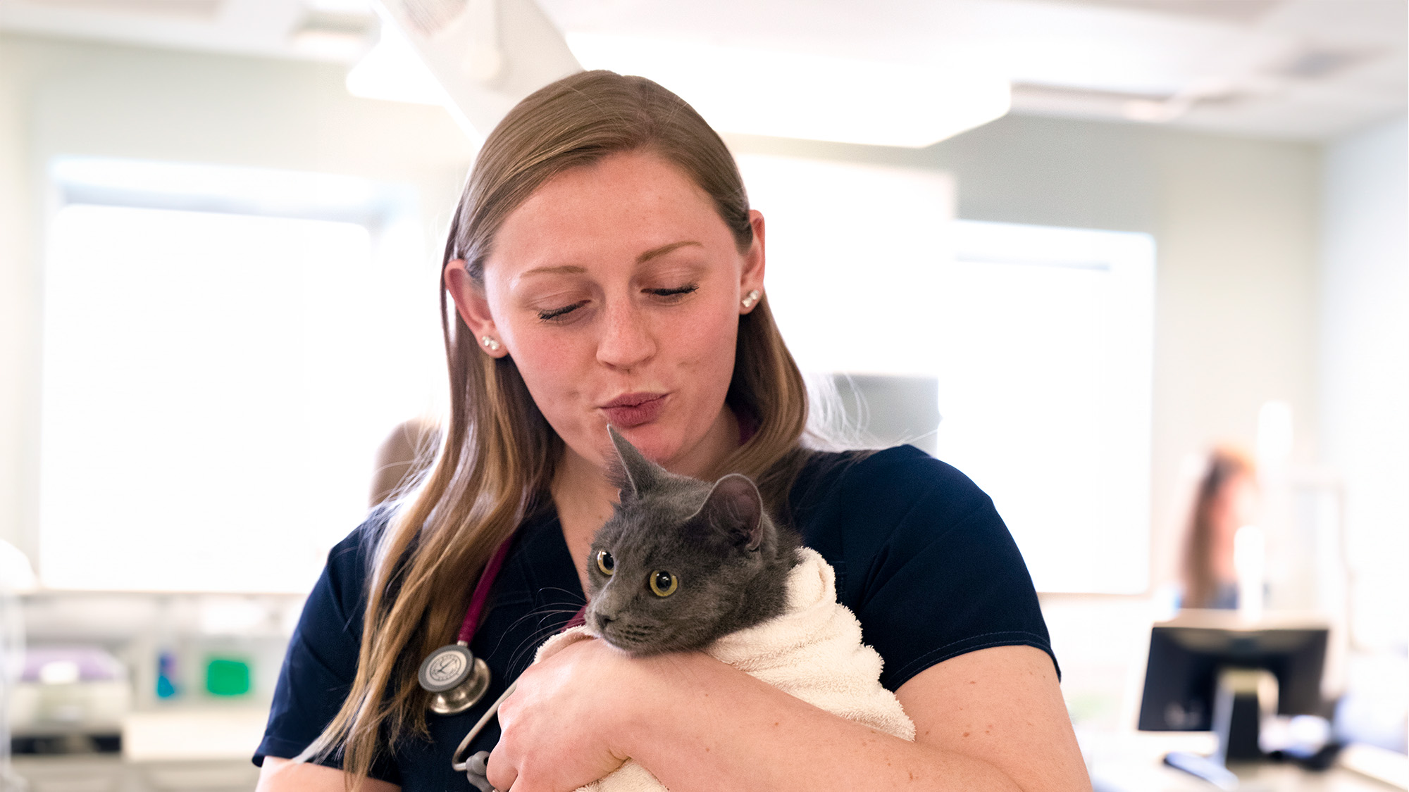 UMA Vet Tech student with a towel-wrapped kitty cat
