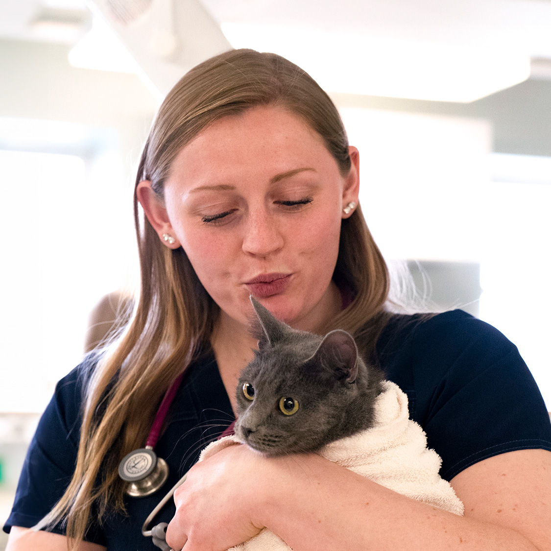 UMA Vet Tech student with a precious kitty 