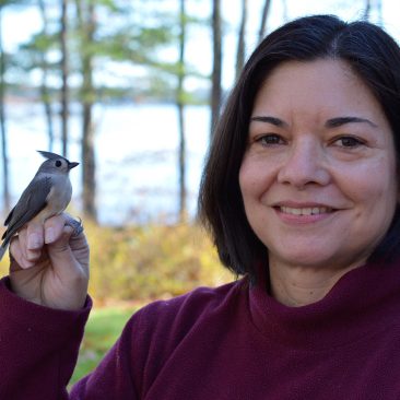 Jennifer Long holding Tufted titmouse