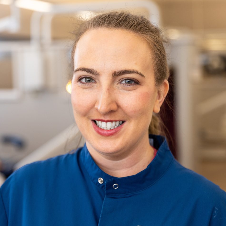 givekidsasmileday dental events bangor 2026 81