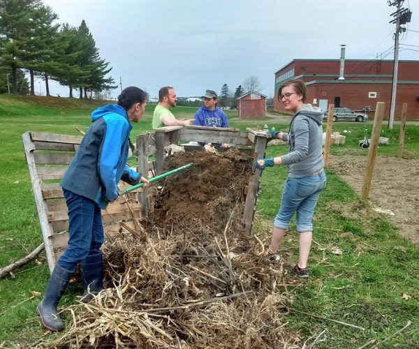 Bangor Community Garden 2018 5 Bangor Community Garden