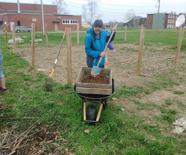 Bangor Community Garden 2018 9 Bangor Community Garden