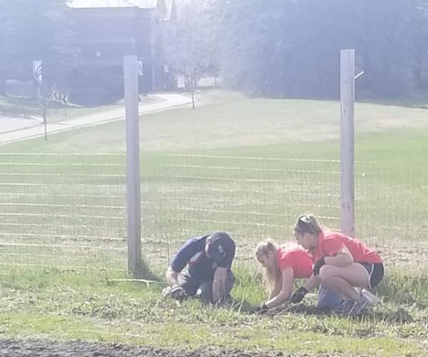 Volunteers in the Garden 02 Cony HS Volunteers in the garden