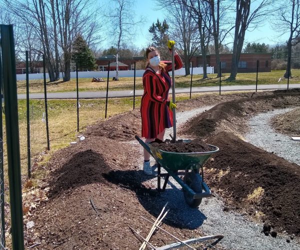 Bangor Garden 2020 - Andrea Simoneau building up hugels with some more soil Students in the bangor community garden practicing social distancing