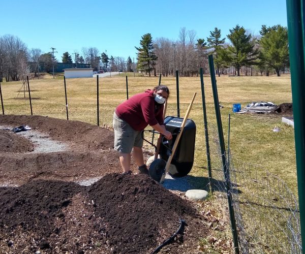 Bangor Garden 2020 - Andrew Williams keeping our wheelbarrows working and smiling Students in the bangor community garden practicing social distancing