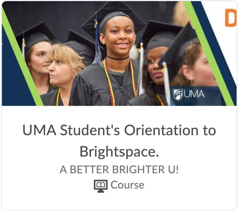 brightspace orientation