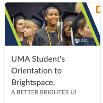 uma students orientation to brightspace