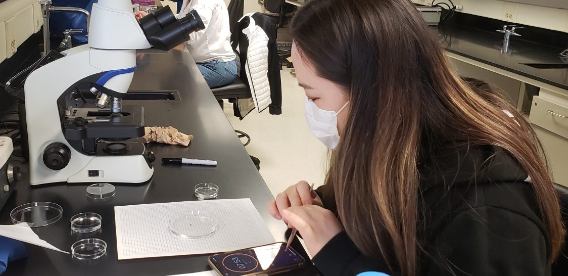 UMA Students participated in MDI Biological Laboratory