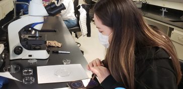 UMA Student Minjoo Kim (MDIBL)