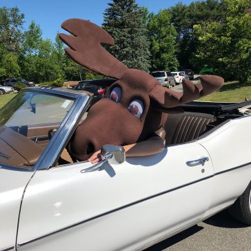 UMA's mascot Augustus the Moose driving a convertible with the roof open. e