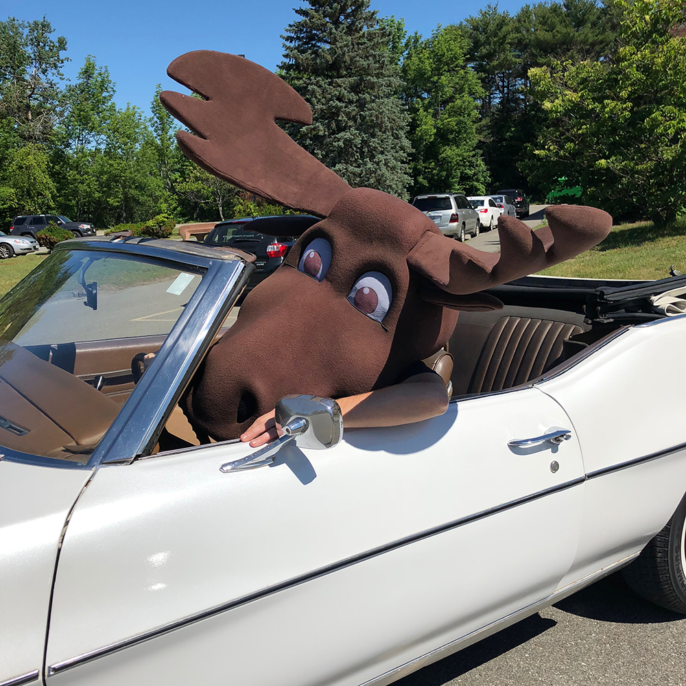 UMA's mascot Augustus the Moose driving a convertible with the roof open. e