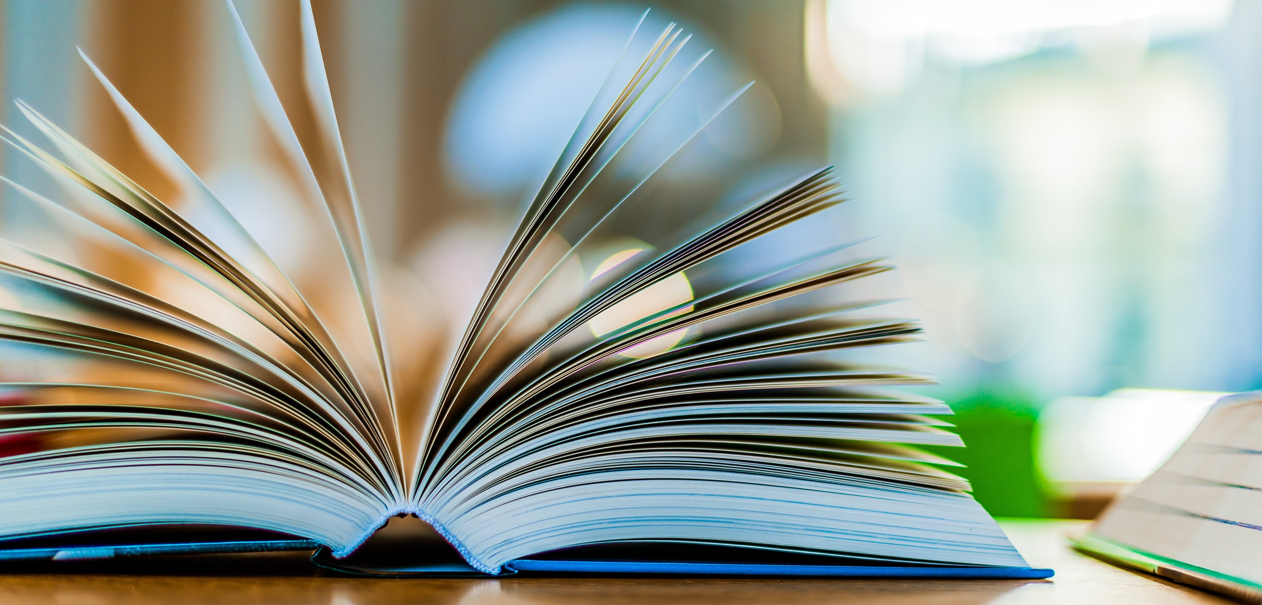 Plunkett Poetry Festival - April 29