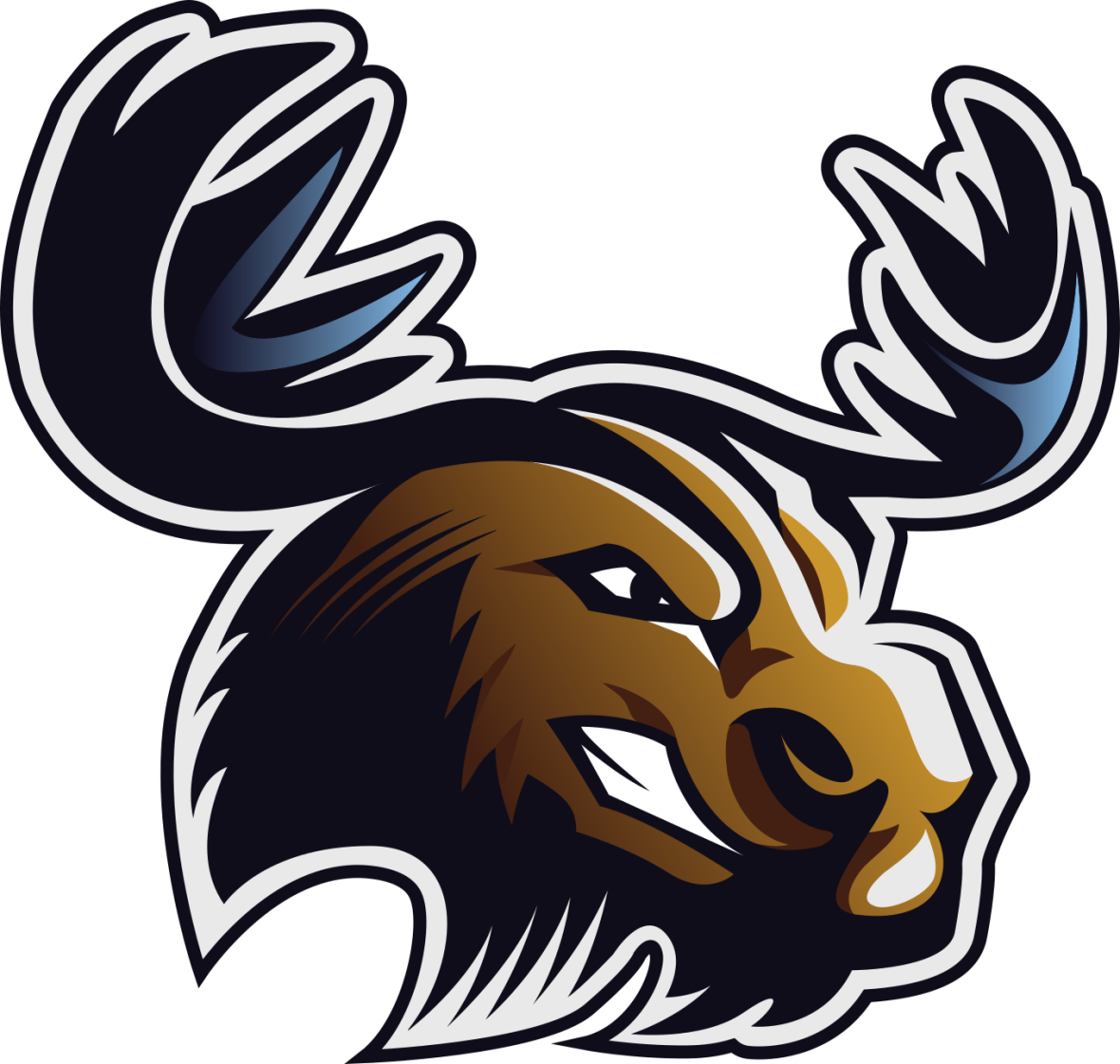 One fierce moose