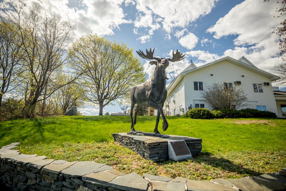 UMA Moose Statue