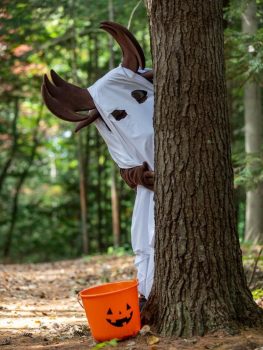 augustus the moose in his halloween costume for halloween 2023