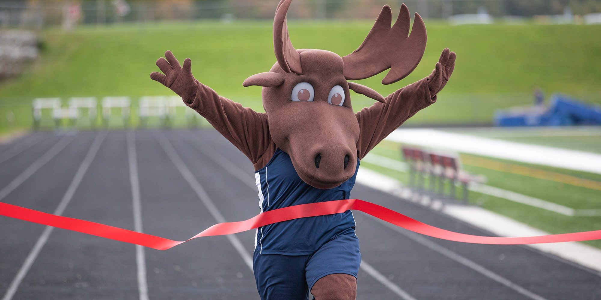 moose crossing finish line