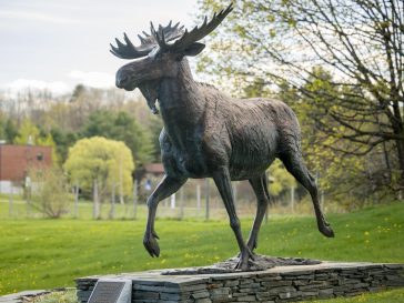 uma spring campus 2023 83 moose statue 4x3