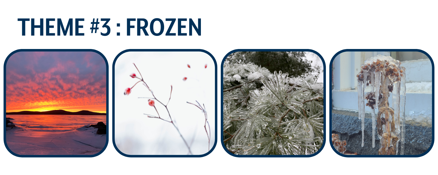 Theme 3: Frozen - photo collage