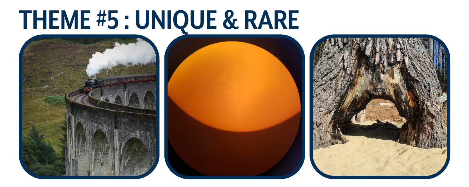 Theme 5 - Unique and rare (photo collage)