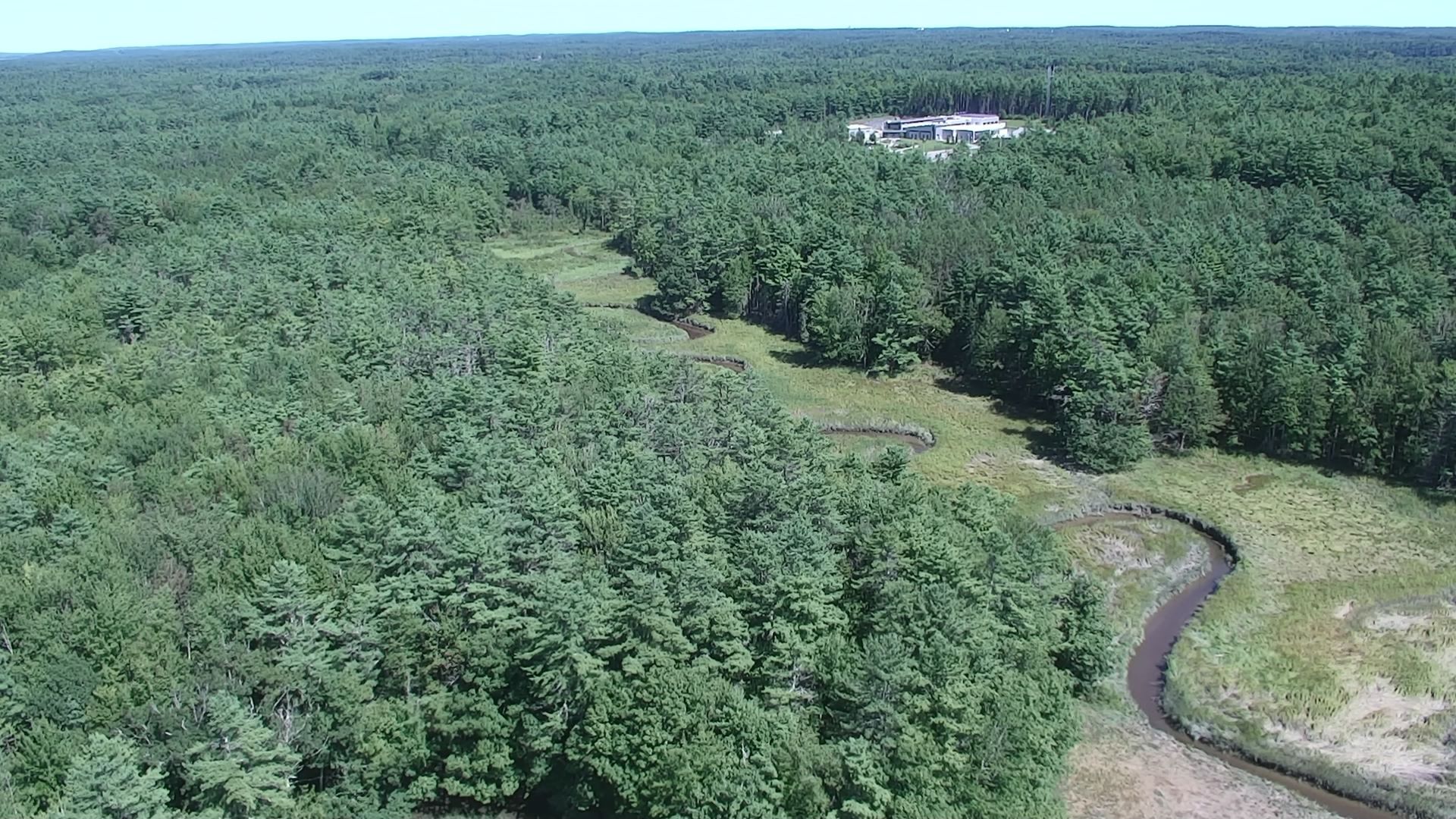 Mere Creek snakes through a flatland of dense woods