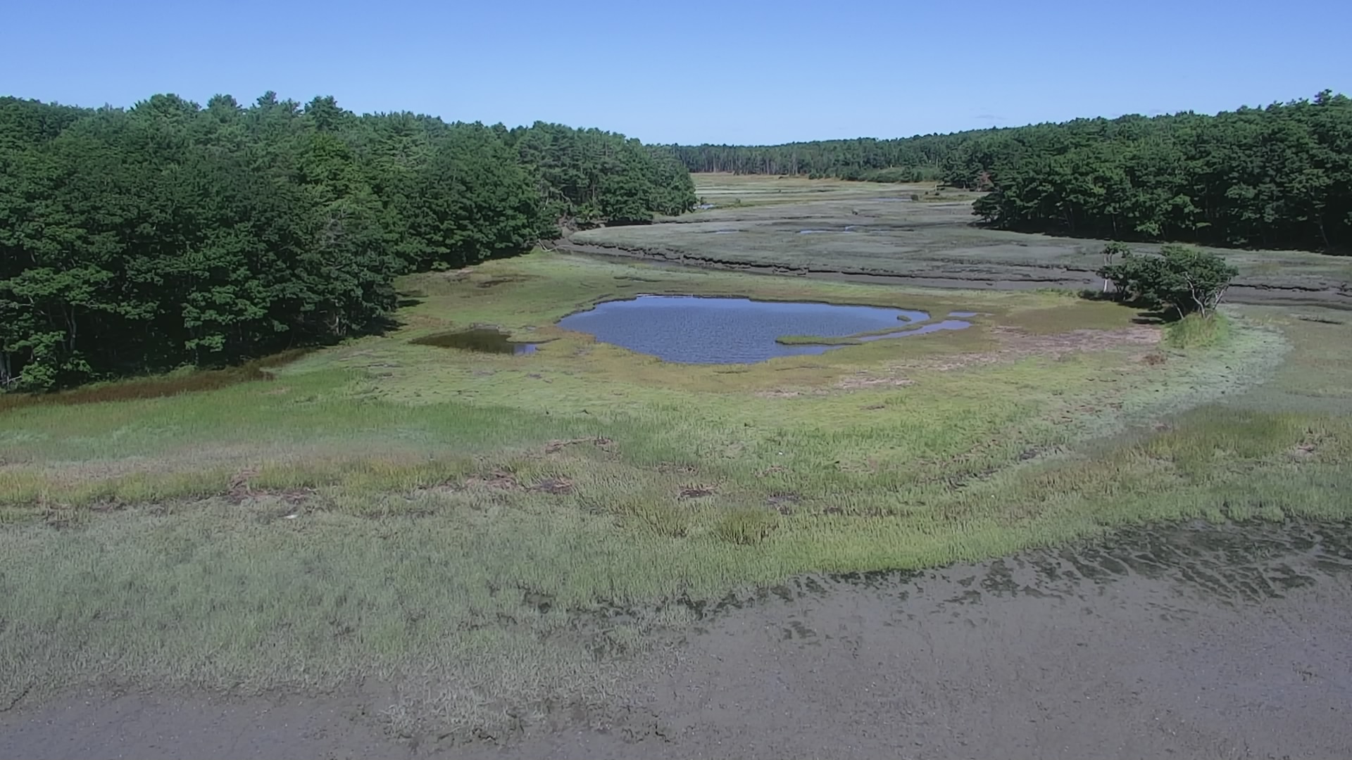 Wide, flat, grassy marshland undulates between dense woods to the left and right. A small pond is in the center, and sandy soil is in the foreground.