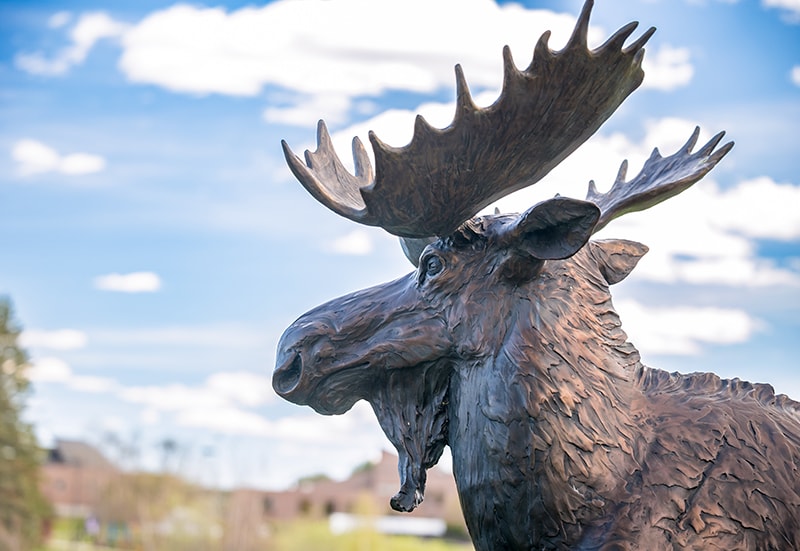 Zero Tuition for Eligible Mainers