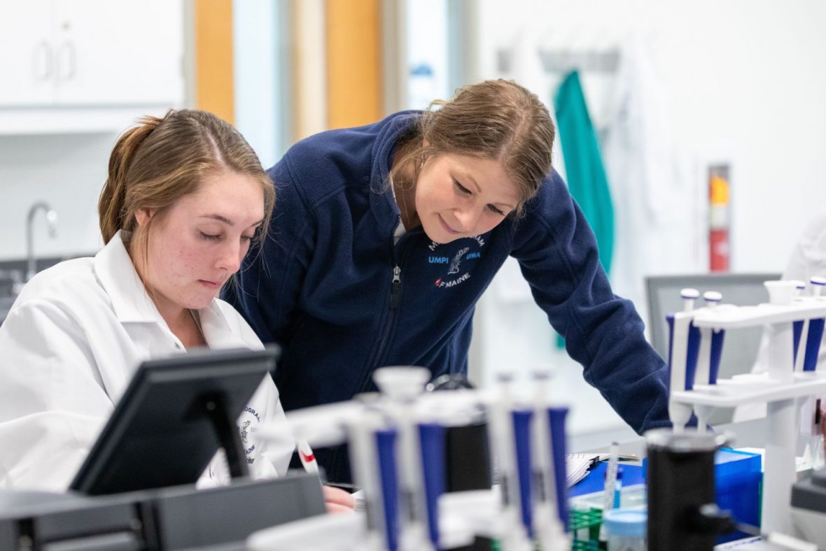 mlt marketing 2024 4