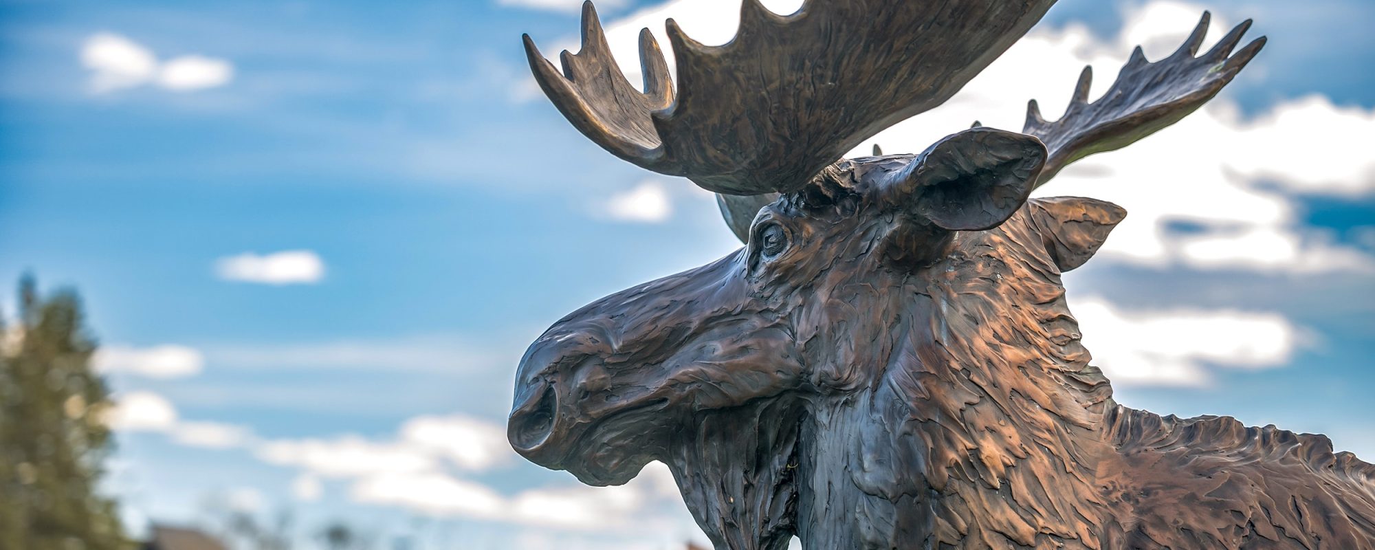 uma moose statue uma moose statue