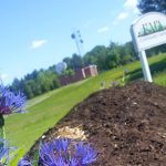 UMA community garden bangor campus