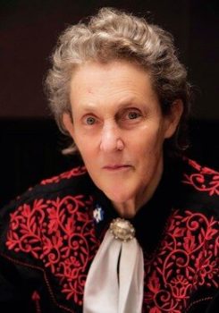 temple grandin