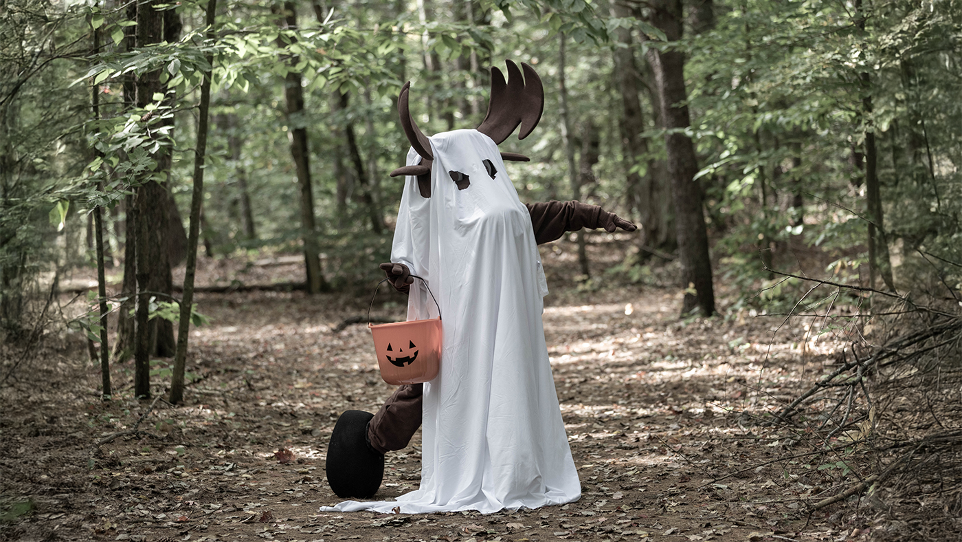 Augustus the moose dressed up as a ghost for halloween
