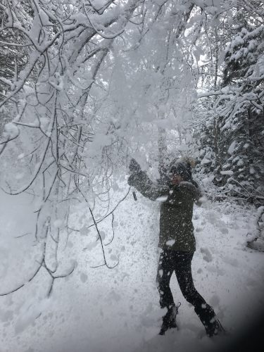 A person in a green jacket and dark pants throws a shower of snow in a snowy forest.