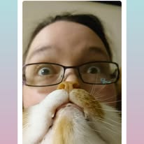 A close up of a human face wearing glasses. A cat's face is angled below so the faces combine to make a half human, half cat face