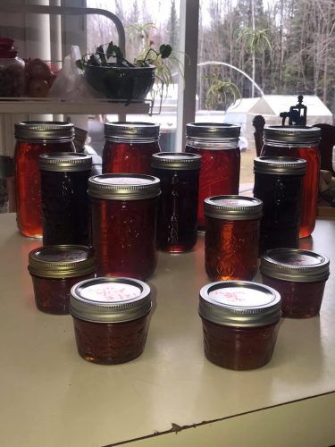A collection of mason jars filled with various shades of amber and dark red liquids, likely homemade preserves or syrup, arranged on a countertop in front of a window.