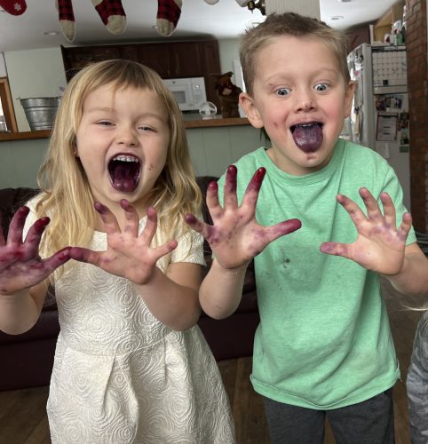 Two young children excitedly show off their hands and tongues stained purple from eating berries.
