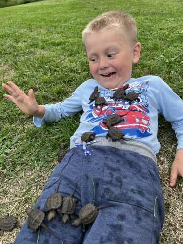 A young boy with blond hair wearing a light blue shirt is laying on a ground on green grass. Twelve small turtles are on his chest and legs 