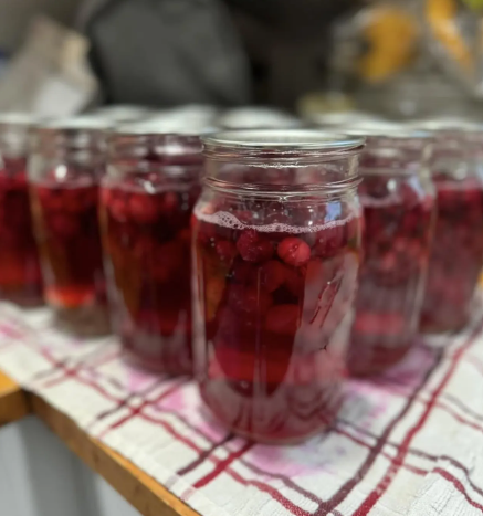 A row of glass canning jars filled with bright red berries and liquid sit on a white and red checkered cloth.