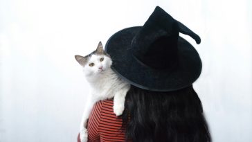 person in witch hat holding cat