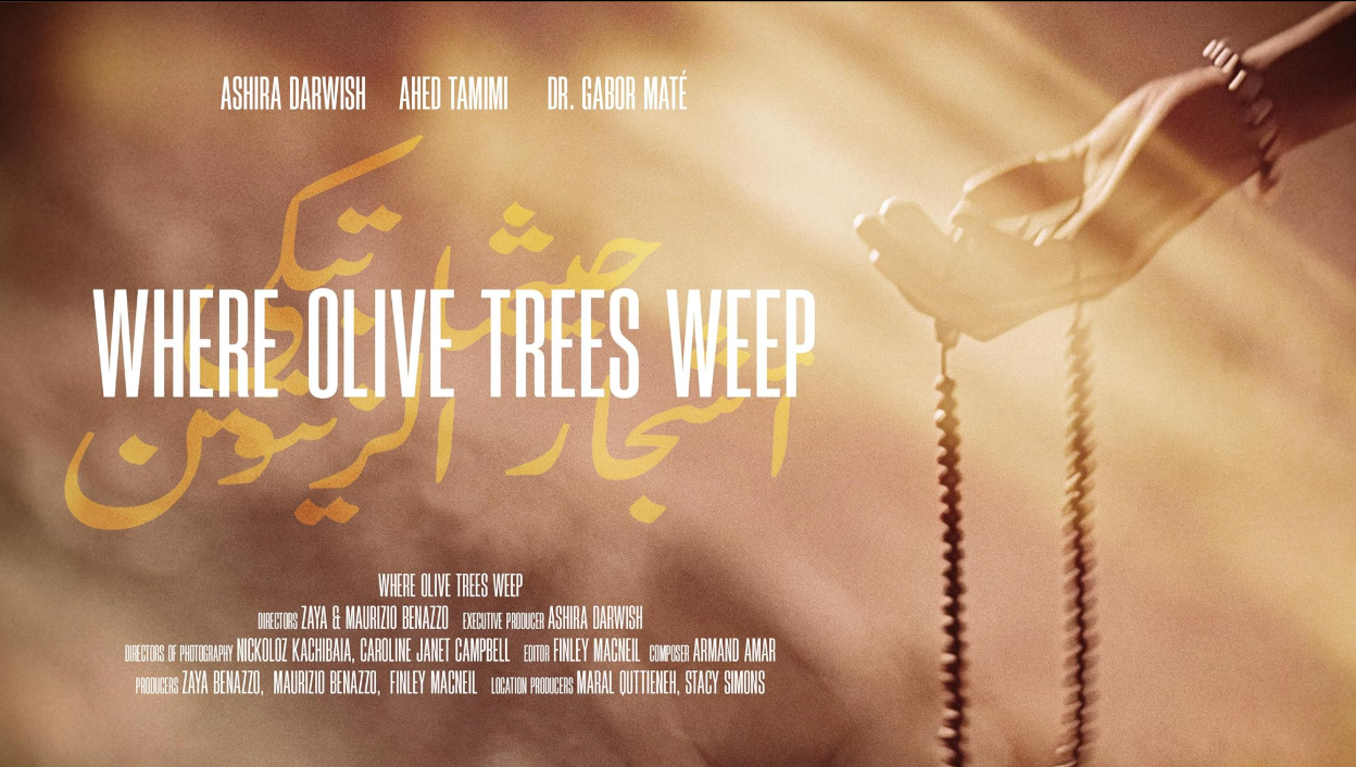 where olive trees weep