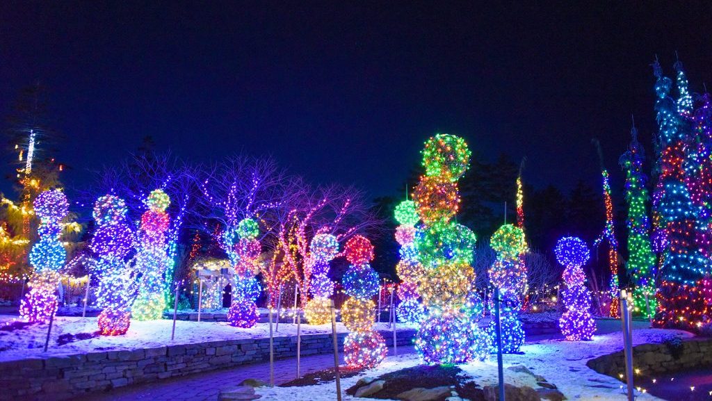 lights from the gardens aglow event