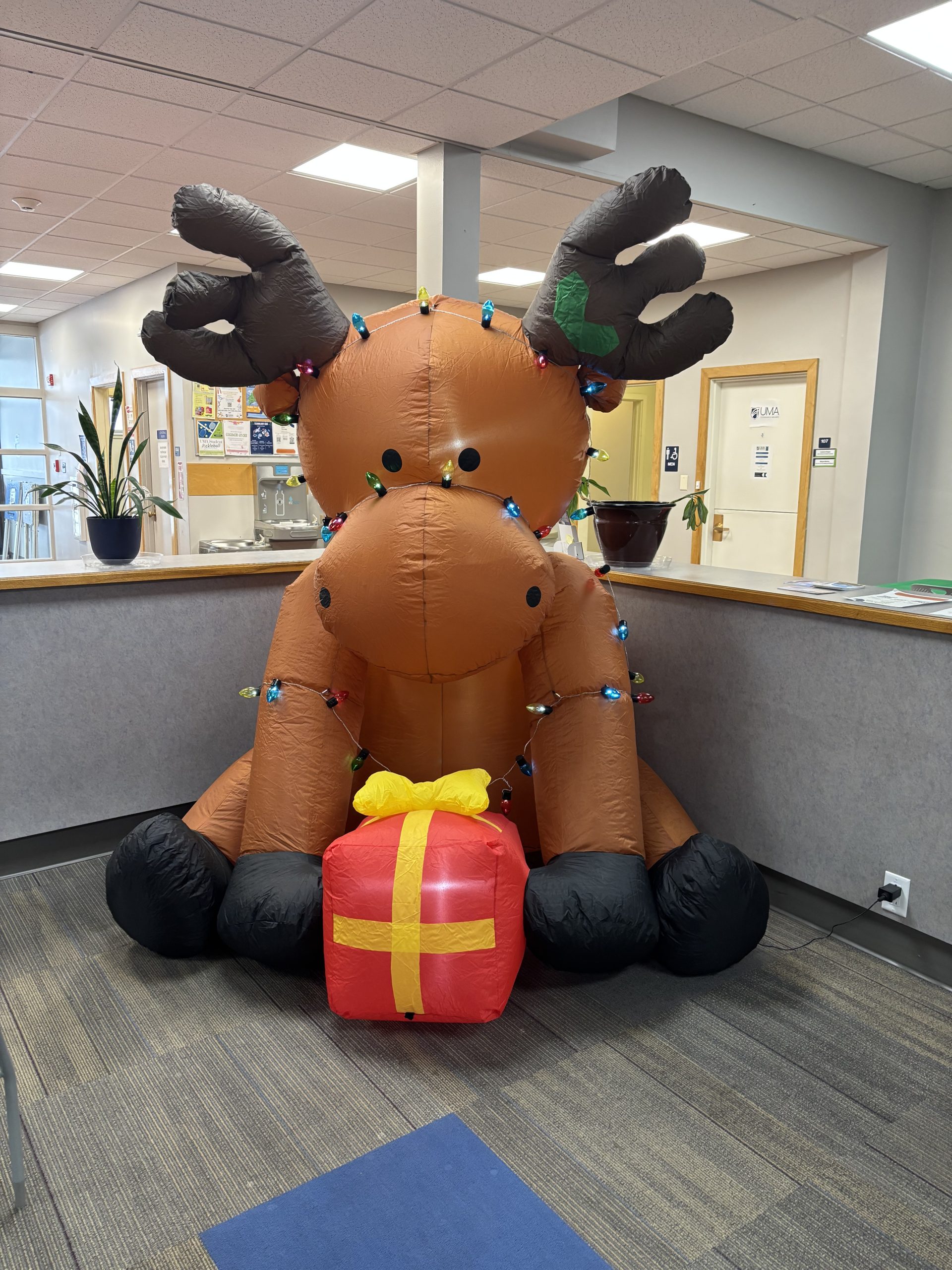 inflatable moose wrapped in holiday lights holding a present