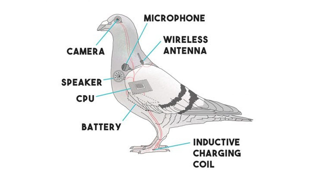Illustrated diagram of a pigeon labeled with fake electronic parts like a camera, microphone, CPU, battery, and antenna, presented as a humorous prank suggesting the bird is a surveillance device