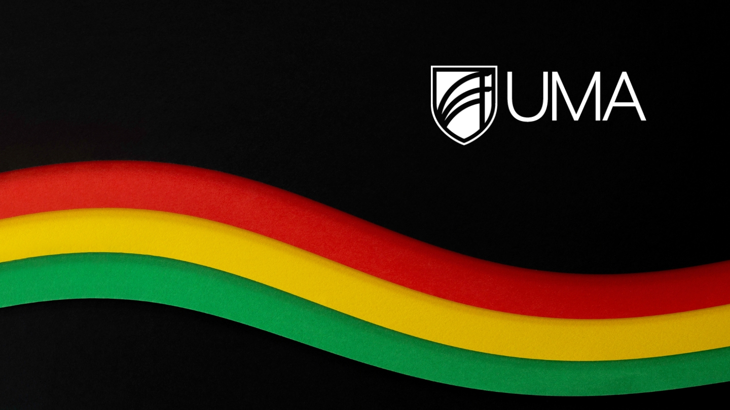 Colors of the Black History Month flag