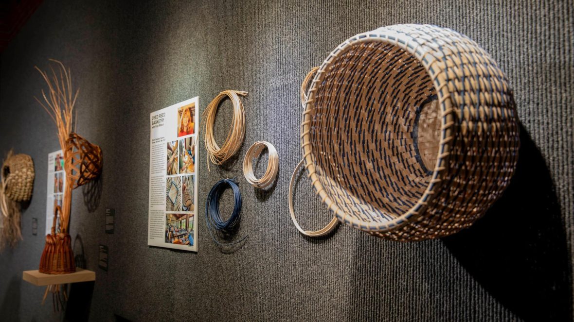 Woven basketry display mounted on a gray gallery wall, featuring a large finished basket and several coils of natural and dyed reed alongside an informational panel.